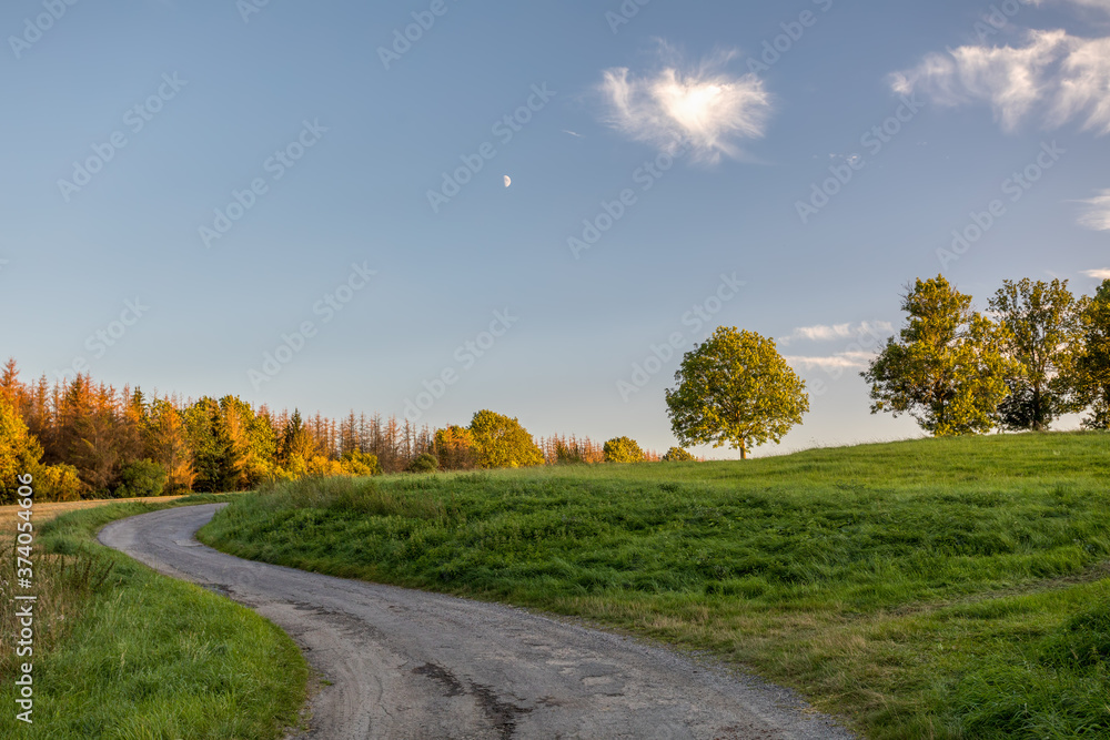 Summer day in the countryside. Agricultural concept, landscape in highland with dead spruce tree after bark beetle attack, Vysocina Czech Republic