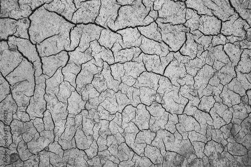 Texture of dry cracked soil after dried puddle