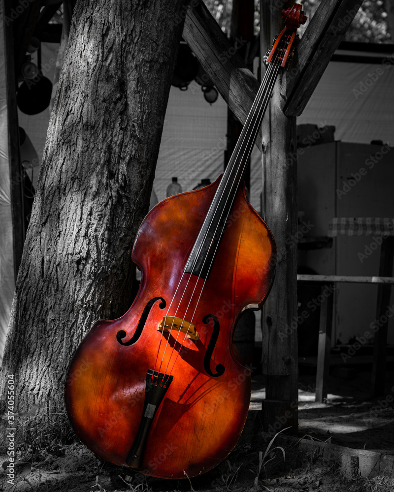 Fototapeta premium violin and bow