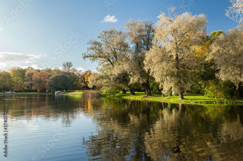 Autumn park landscape with bright trees