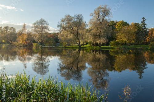 Autumn park landscape with bright trees