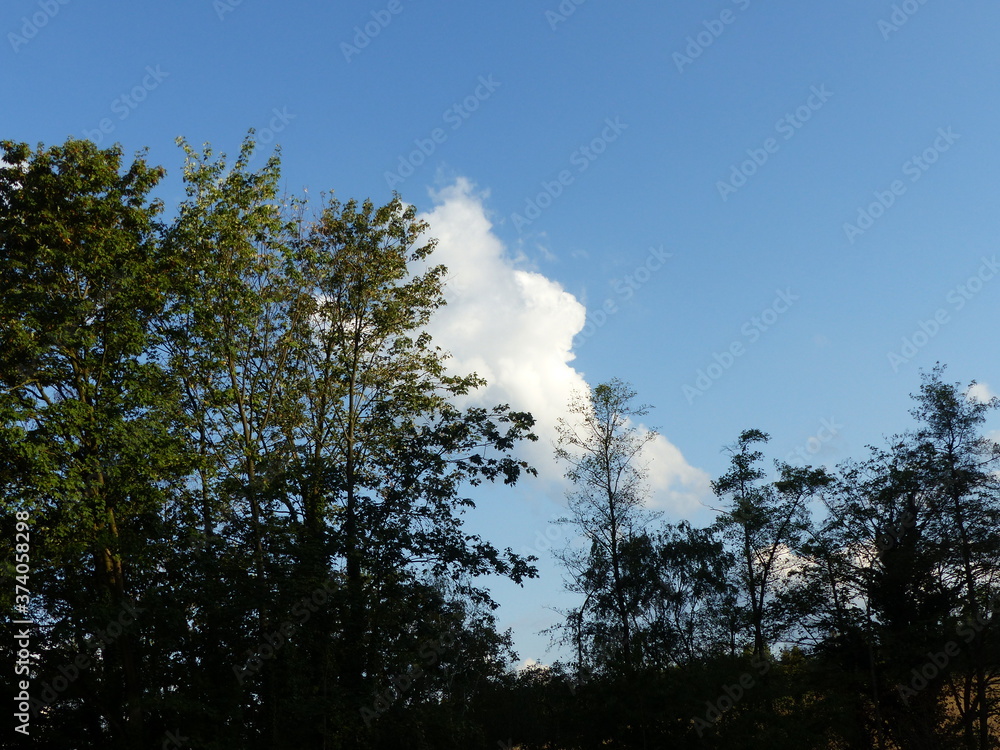 Fototapeta premium Himmel