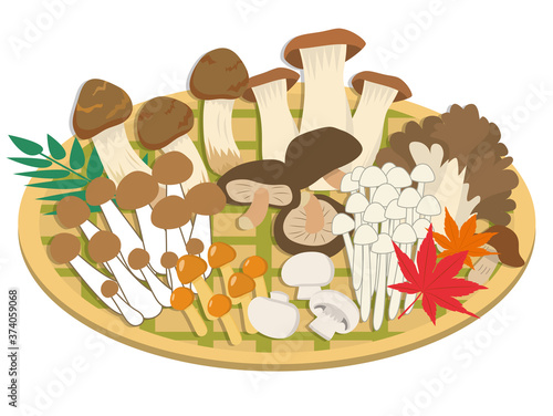 食用きのこ盛り合わせセット