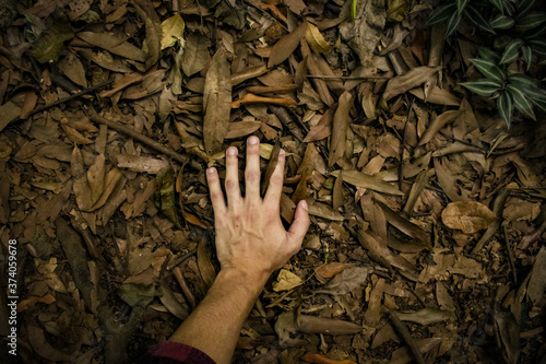 Pessoa tocando o chão da floresta em conexão com a natureza photo