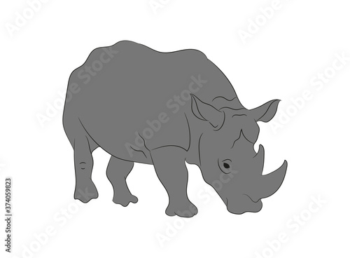 vector rhino illustration  color drawing  vector