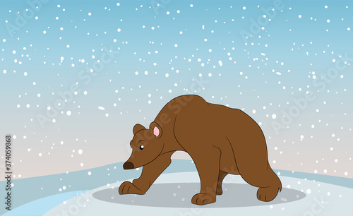 vector illustration of a bear in nature photo