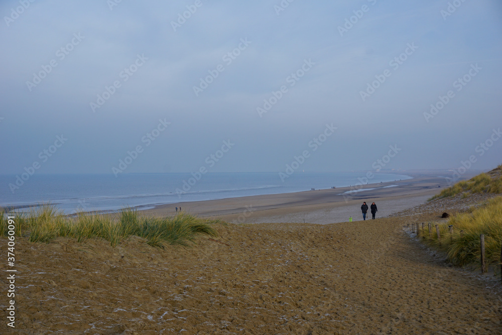 Dutch beach in the winter (National Park Zuid-Kennemerland, The Netherlands) Dutch beach in the winter (National Park Zuid-Kennemerland, The Netherlands)