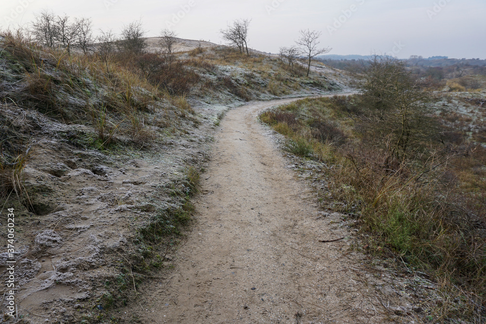 Hiking trail in National Park Zuid-Kennemerland (The Netherlands) - Winter