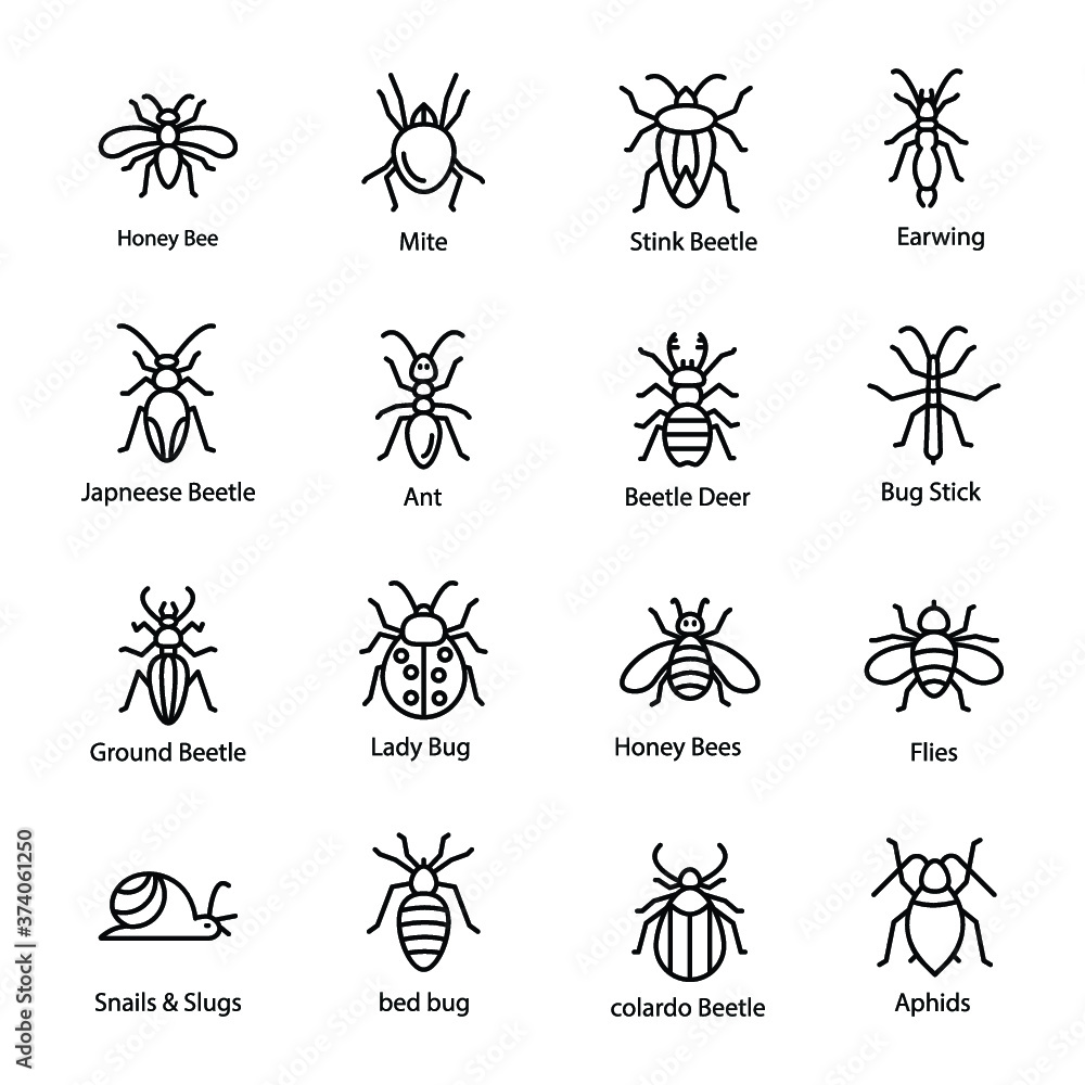 Garden Bugs Icon