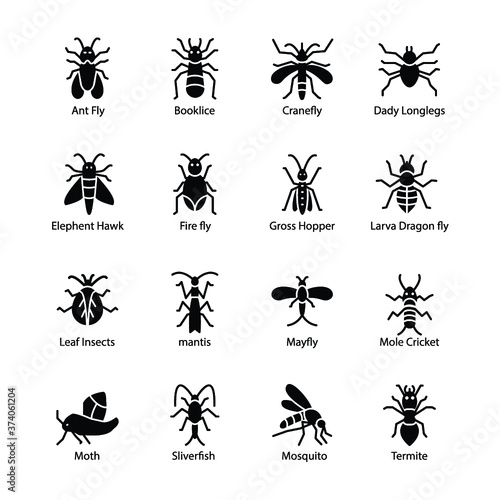 Bug Glyph Icon 