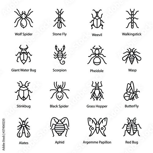 Insect And Bug Icons