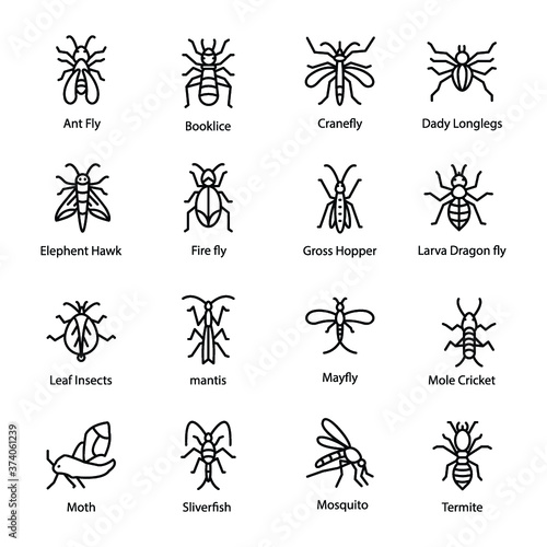 Bug Line Icon  © Prosymbols