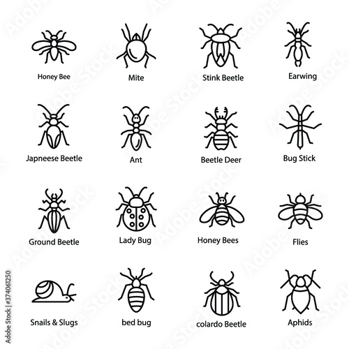 Garden Bugs Icon