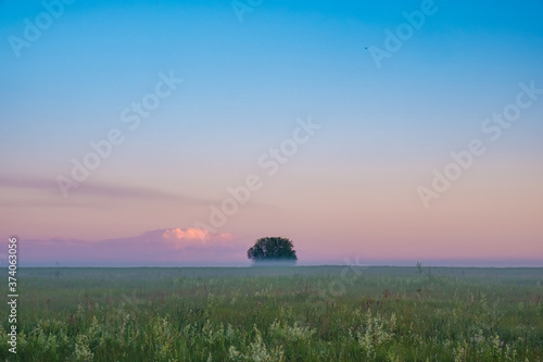 Summer landscape with green grass, road and dramatic sky photo