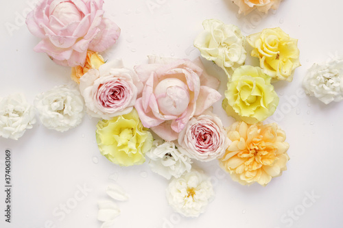 Fresh roses on white background, floral flowers blooming garden wedding pattern, pastel wallpaper fine art phopto, instagram flat lay commercial photography