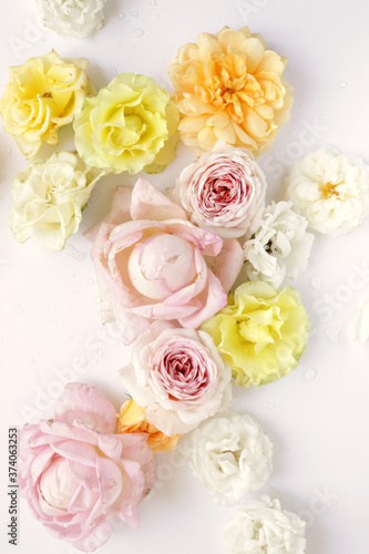 Fresh roses on white background, floral flowers blooming garden wedding pattern, pastel wallpaper fine art phopto, instagram flat lay commercial photography