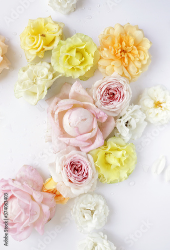 Fresh roses on white background, floral flowers blooming garden wedding pattern, pastel wallpaper fine art phopto, instagram flat lay commercial photography