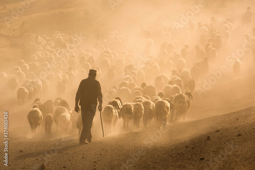 shepard dust photo