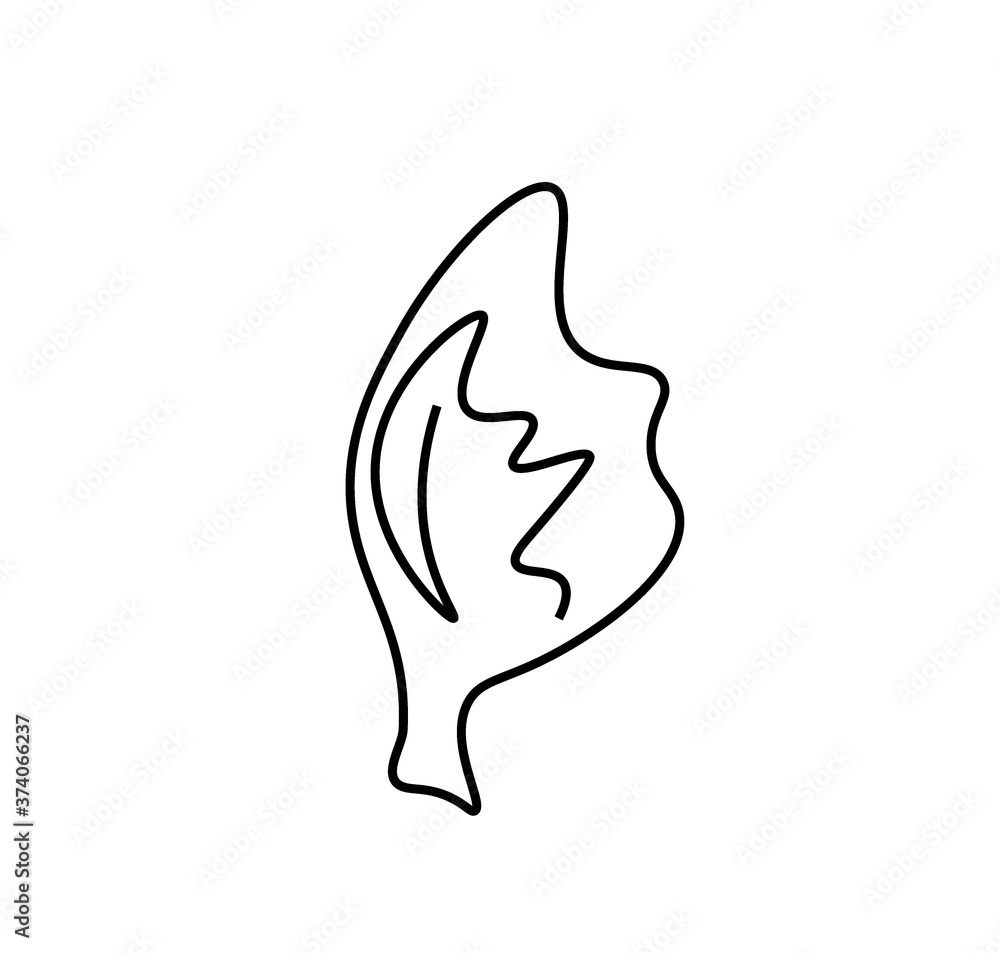 Vector lettuce leaf with a black line.Simple food and cooking illustration in doodle style on a white isolated background hand drawn.Design for social networks,web,advertising,banners,menus,recipes. Vector lettuce leaf with a black line.Simple food and cooking illustration in doodle style on a white isolated background hand drawn.Design for social networks,web,advertising,banners,menus,recipes.