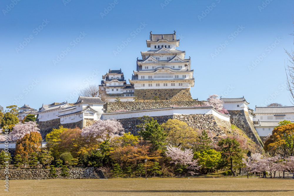 Cherry blossom and the Himeji castle in Japan Cherry blossom and the Himeji castle in Japan