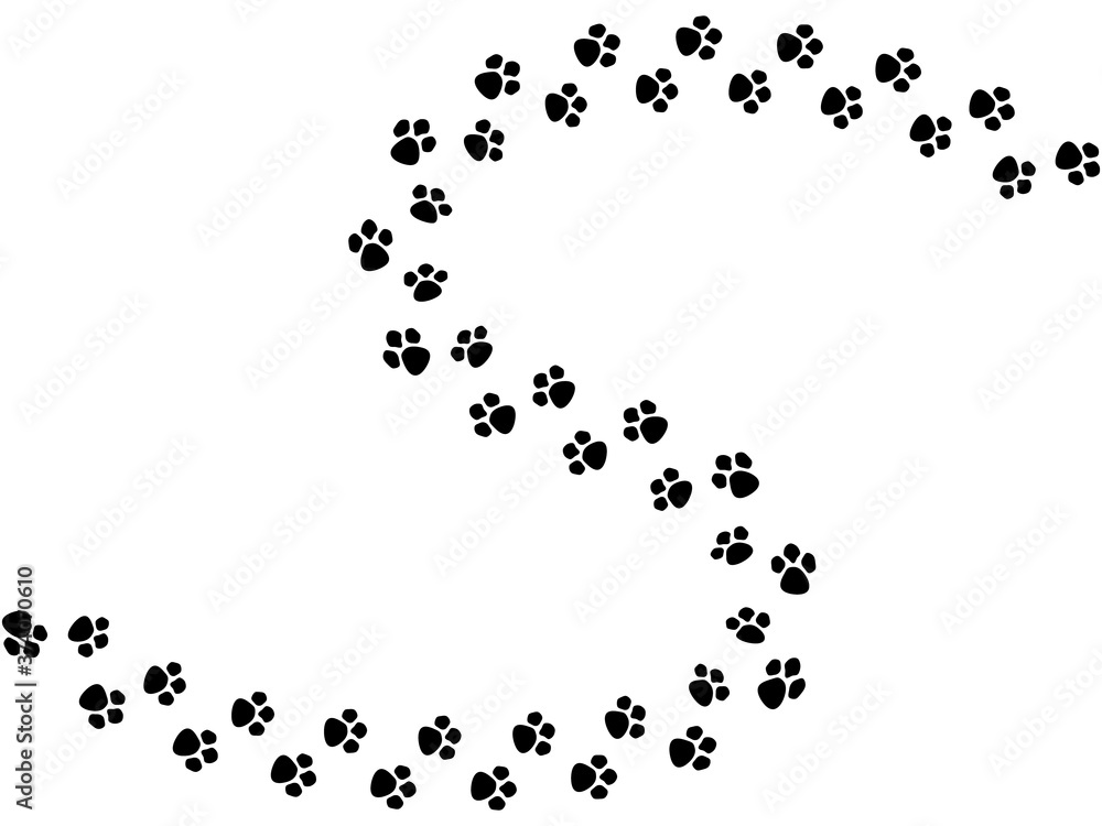 犬の足跡 2 犬の足跡 2