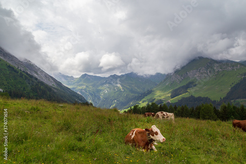 View from the H  llensteinalm l near Tux in Zillertal