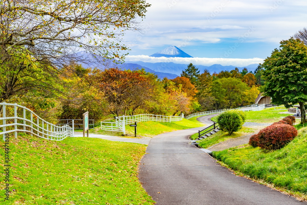 custom made wallpaper toronto digital清里高原のまきば公園から眺める富士山　山梨県北杜市にて