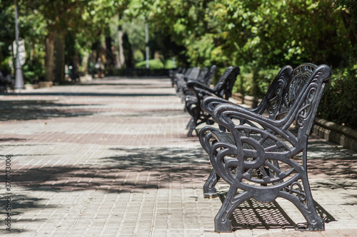 bench in the park with no people © Alex Castellon