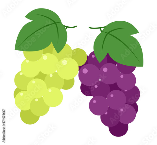 ぶどうとマスカット