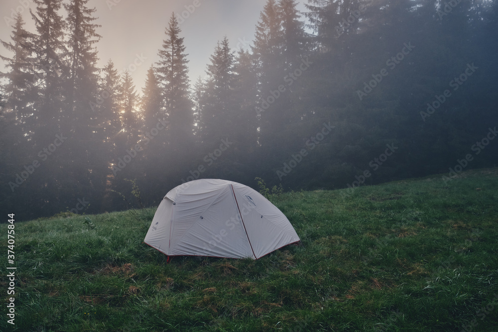 Tents in the fog. Morning in the mountains. Pine forest.