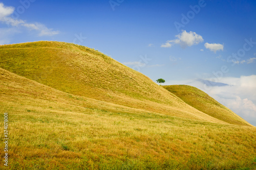 landscape with green grass and blue sky