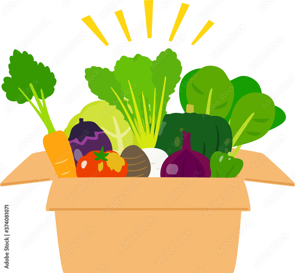 段ボール箱に入ったいろいろな野菜 Stock Vector Adobe Stock
