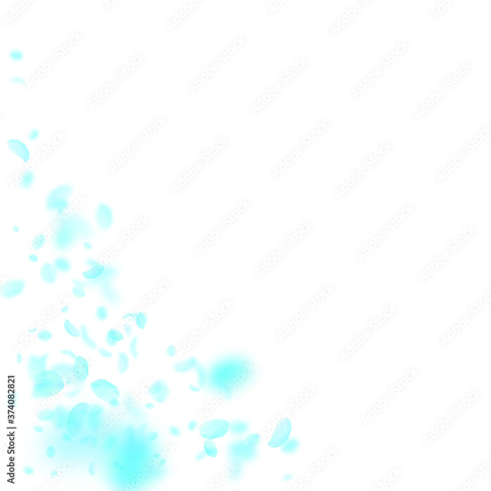 Turquoise flower petals falling down. Brilliant ro Turquoise flower petals falling down. Brilliant ro