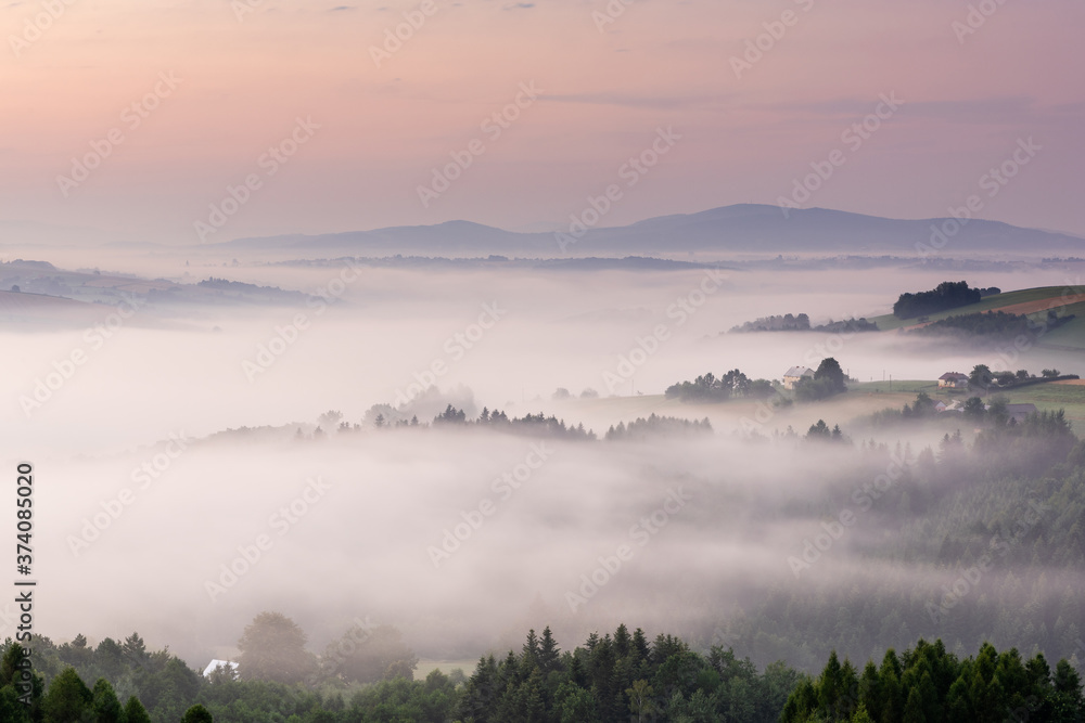 Panoramic View over Rolling Hills in Morning Fog at Sunrise. Lesser Poland.