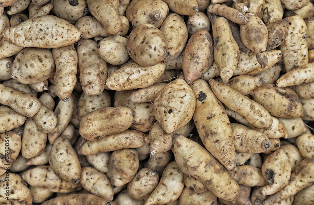 Stack of fresh potatoes, background close up Stack of fresh potatoes, background close up