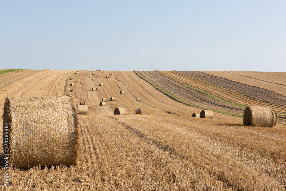 Late Summer Background. Hay Bale in Meadow. Picturesque Countryside Landscape