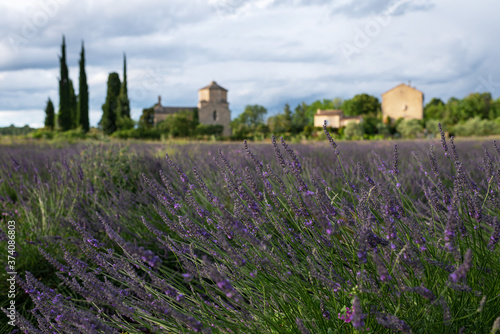 Église Saint-Pierre de Larnas et champ de lavande en fleur. Larnas, Ardèche, France, juin 2020 © Julien