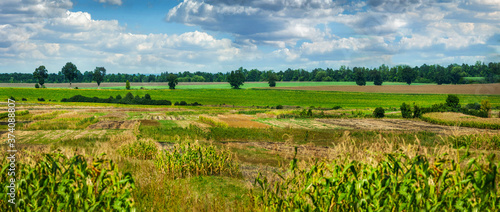 agricultural fields in the hills surrounded by trees on a warm late summer wi...