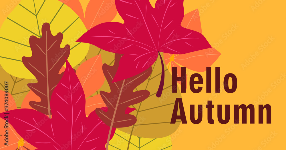 Hello Autumn. Fall season vector background. Colorful leaves design template