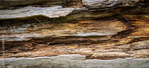 old cracked wood with visible details