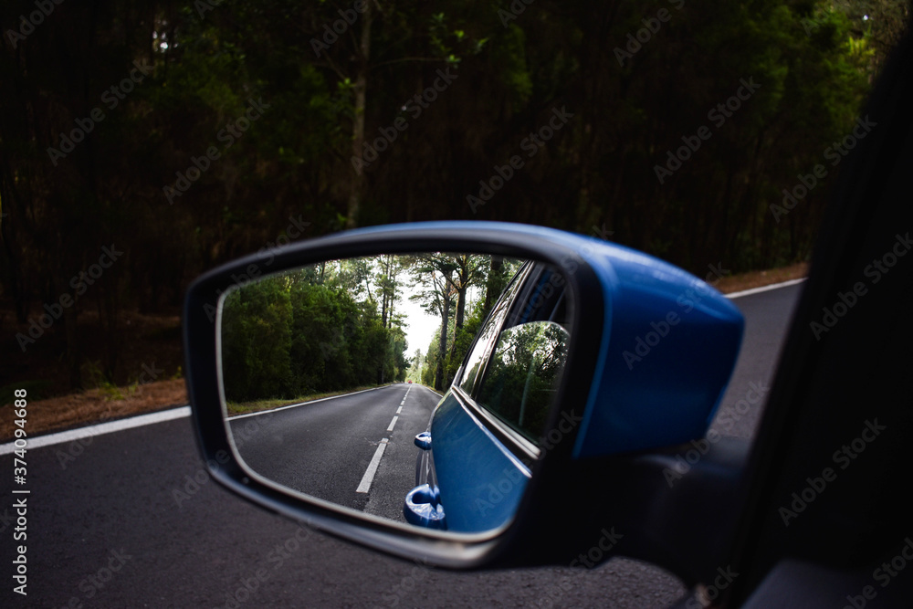 Road in the forest seen through a rear view mirror