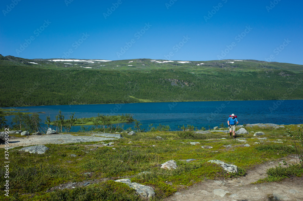 Hiking in Sweden in summer. Man tourist trekking in Abisko National Park near mountain lake Abiskojaure in northern Sweden. Nature of Scandinavia in sunny day blue sky