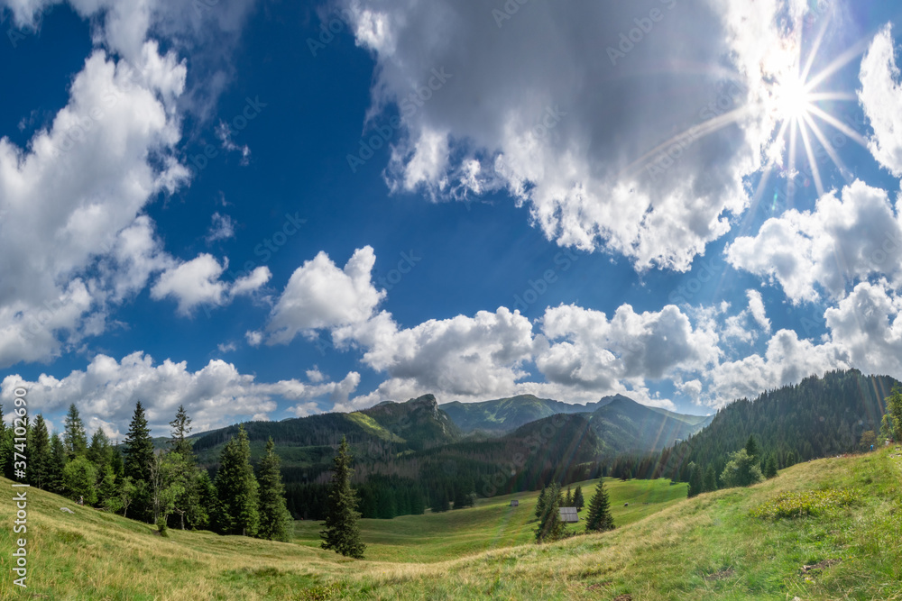 Fototapeta premium Polana Kalatówki