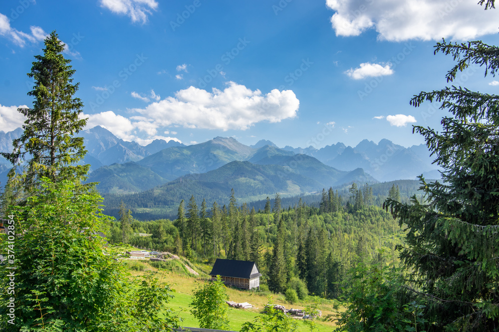 Panorama z polany Głodówka
