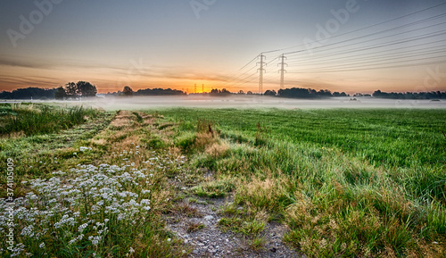 Foggy august morning on Swedish field