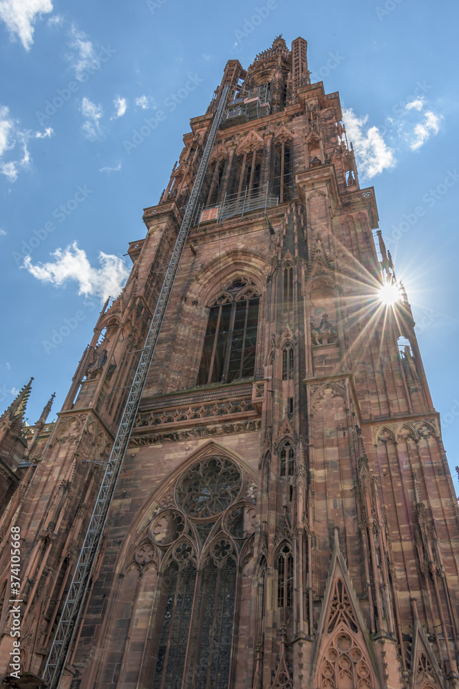 Straßburger Münster im Gegenlicht