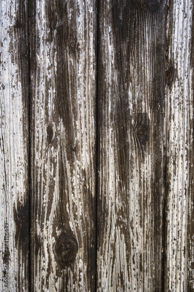 worn wooden plank panel with knots, gray wood texture background worn wooden plank panel with knots, gray wood texture background