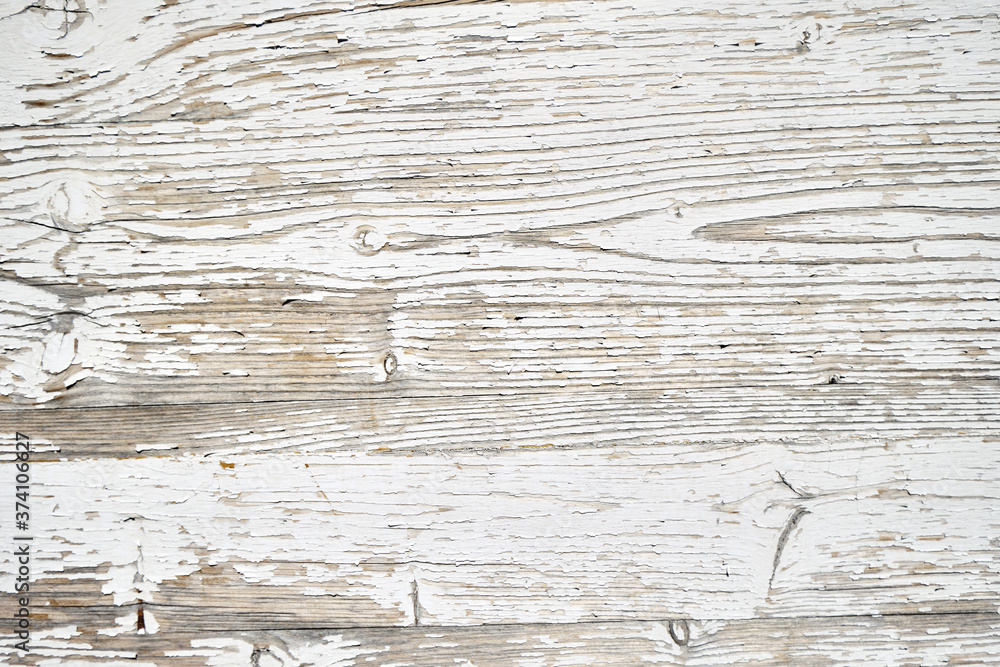 Fototapeta premium wooden plank panel with knots, white wood texture background