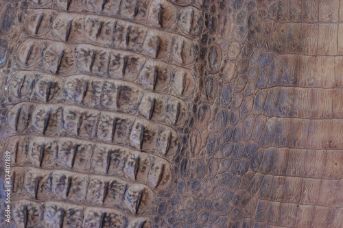 rocodile leather texture,
