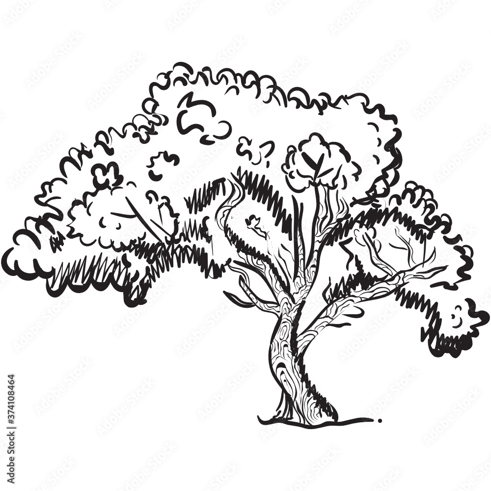 A cedar tree icon design, hand drawn vector of natural tree
A cedar tree icon design, hand drawn vector of natural tree